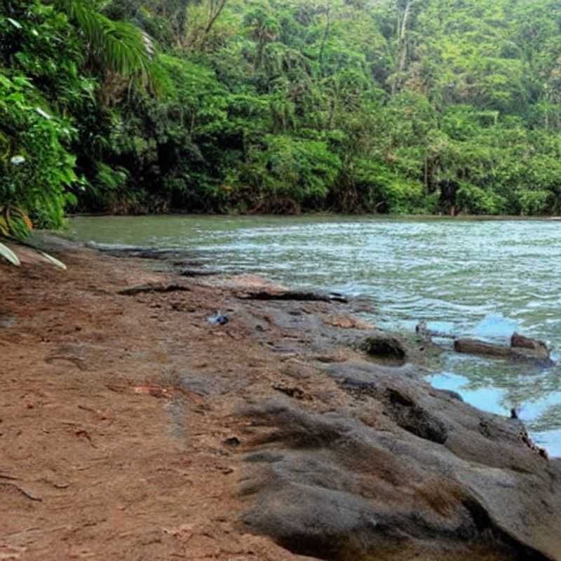 Loango in Summer? Beat the Crowds (and the Costs!)<h3>Off&#45;Season Adventures&#58; Loango National Park's Secret Summer Savings</h3><h3>Sun's Out&#44; Prices Down&#58; Your Budget&#45;Friendly Guide to Loango National Park</h3><h3>Is Loango National Park Good for a Summer Holiday? (Spoiler&#58; Yes&#44; and Cheaper!)</h3><h3>Mythbusting Loango&#58; Summer Heat&#44; Lower Prices&#44; and Unforgettable Wildlife</h3><h3>Loango National Park&#58; Escape the Tourist Frenzy and Save Your Pennies</h3><h3>Gabon's Hidden Gem&#58; Loango's Off&#45;Season Magic and Affordable Exploration</h3><h3>Summertime in Loango&#58; A Safari on a Shoestring Budget (and How to Stay Safe)</h3><h3>Chasing Gorillas and Savings&#58; Your Guide to Loango's Summer Discounts</h3><h3>The Great Loango Mystery&#58; Uncovering the Truth About Off&#45;Season Travel (and the Best Deals!)</h3>