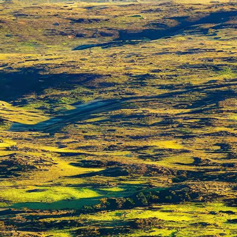 Nyika's Secrets &#38; Your Smartphone's Safety&#58; A Digital Safari Guide<h3>Hacking the Highlands&#58; Cybersecurity on the Nyika Plateau</h3><h3>Lions&#44; Lies&#44; and Laptops&#58; Data Protection in Malawi's Majestic Nyika</h3><h3>From Ancient Myths to Modern Malware&#58; Staying Safe Online in Nyika</h3><h3>The Nyika Plateau&#58; Where Wildlife Roams and Data Needs Protecting</h3><h3>Exploring Nyika's Mysteries...and Avoiding Digital Dangers</h3><h3>Safe Travels&#44; Secure Data&#58; A Nyika Plateau Cybersecurity Adventure</h3><h3>Beyond the Baobabs&#58; Navigating Cybersecurity Risks in Malawi</h3><h3>Nyika's Natural Wonders and Digital Threats&#58; A Traveler's Guide to Safety</h3><h3>Unveiling Nyika's History (and Protecting Your Digital One)&#58; A Practical Guide</h3>