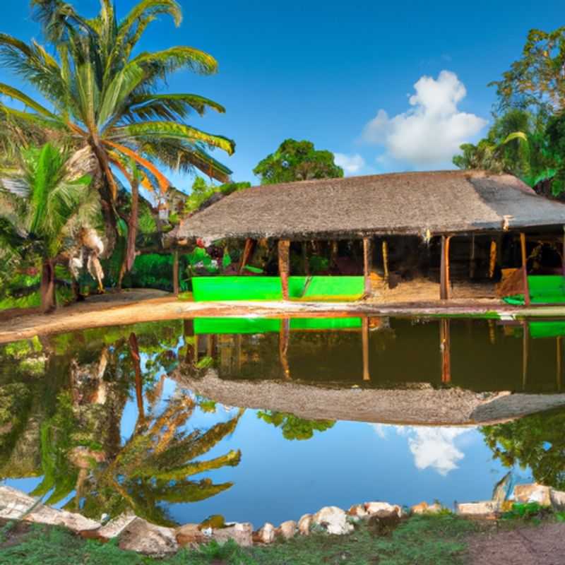 Day Trip to Morondava in Kirindy Forest, Madagascar: A Vibrant Spring Sojourn