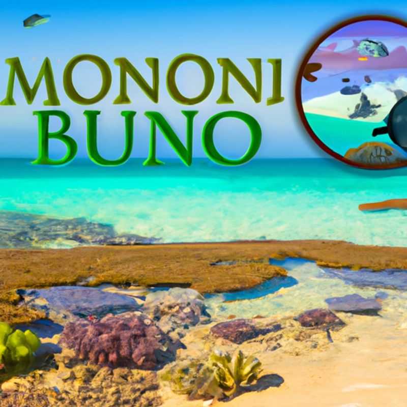 Bazaruto Island Adventure&#58; Snorkeling&#44; Dhow Safaris&#44; and Bird Watching