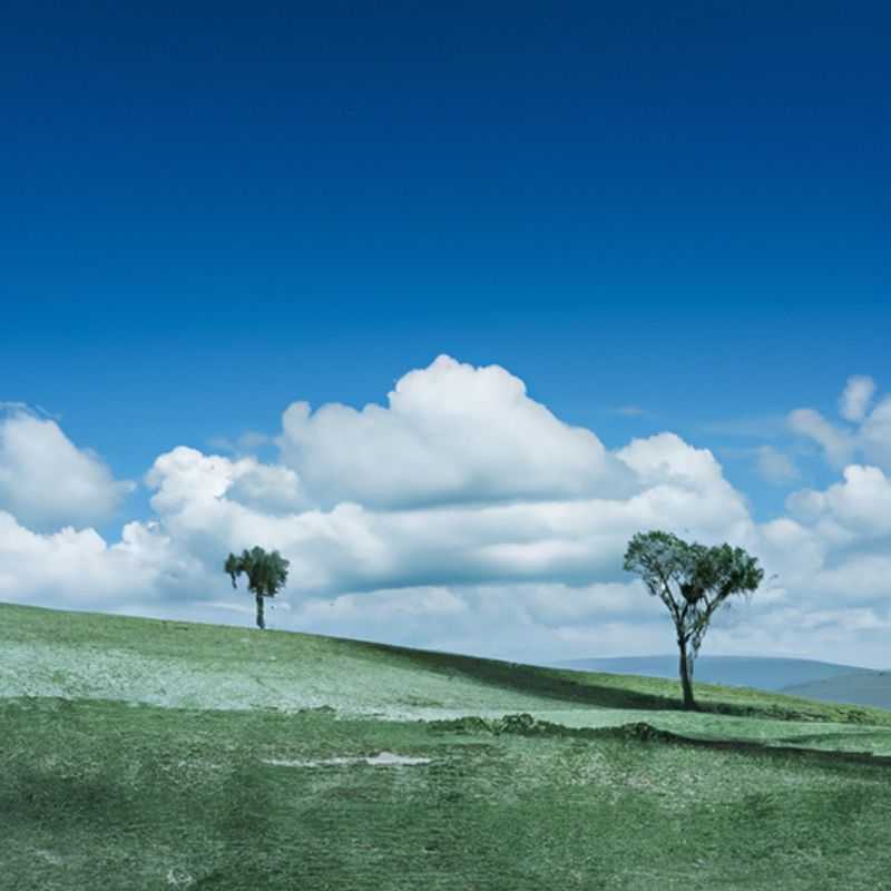 Four intrepid adventurers traversing the vast and breathtaking Nyika Plateau in Malawi during a sun-kissed summer day, embarking on a 24-hour expedition to uncover the hidden wonders of this African gem.