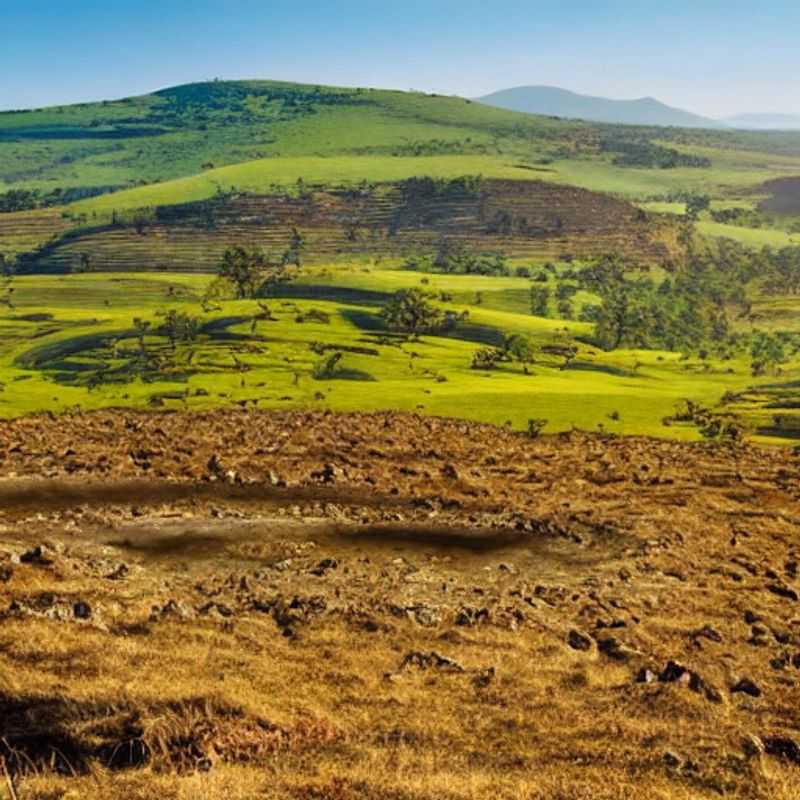Nyika Plateau: Malawi's Untamed Beauty - A Stone's Throw from Adventure!<h3>Unveiling Nyika's Secrets: Why This Plateau is a Must-See in Malawi</h3><h3>Beyond the Vista: Human Stories Woven into the Nyika Plateau's Tapestry</h3><h3>Nyika Plateau: Adventure Awaits - But What Makes it So Special?</h3><h3>Malawi's Hidden Gem: Proximity to Adventure on the Nyika Plateau</h3><h3>Exploring Nyika: Close Encounters with Nature and Culture in Malawi</h3>