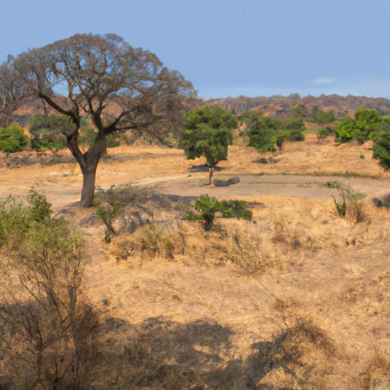 Пеший тур по парку Ruaha National Park&#44; Танзания&#44; весной