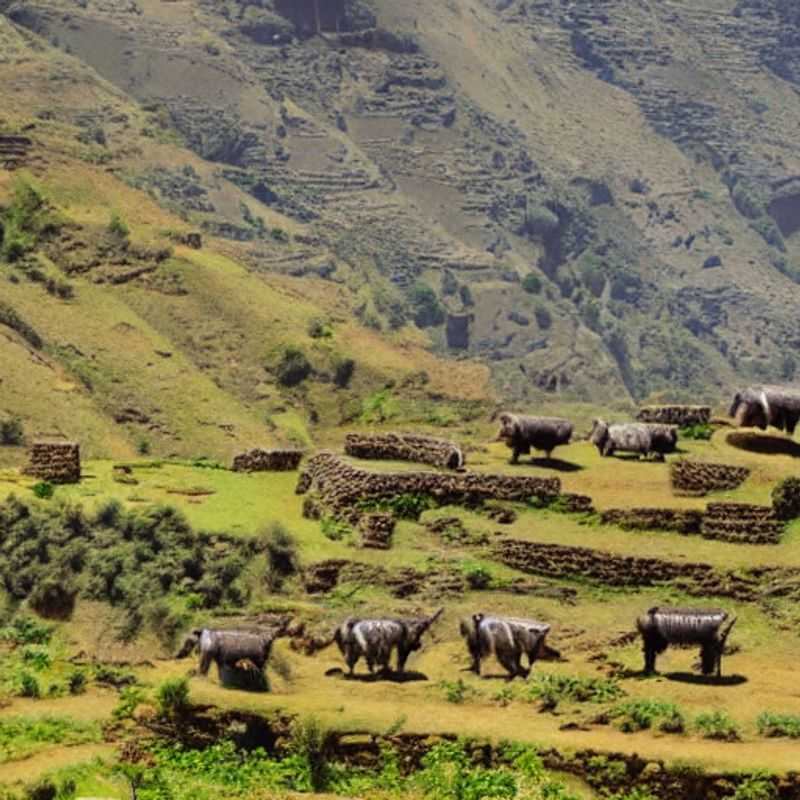 Here are a few options for alt text, each with a slightly different emphasis: