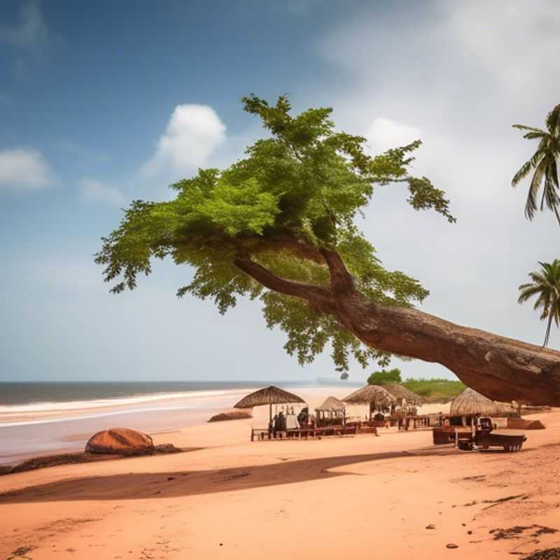 Discover the Wonders of Poilão Island: A Photographer's Delight in Guinea-Bissau