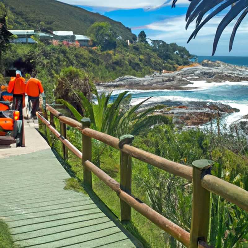 Blackwater Tubing in Tsitsikamma National Park: A Fall Adventure in South Africa's Nature's Paradise