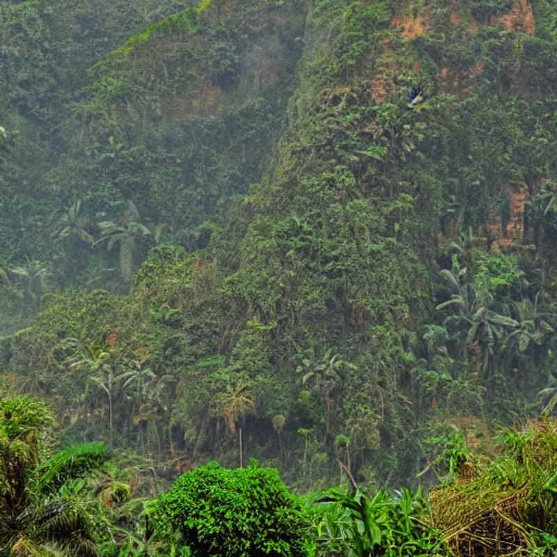 La stabilité politique et la sécurité sur le Mont Elgon : enquêtes d'un guide touristique africain (avec anecdotes !)<h3>Mystères et sécurité sur le Mont Elgon : décryptage politique et conseils pratiques pour voyageurs avisés</h3><h3>Randonnée sur le Mont Elgon : entre légendes, mystères politiques et survie en milieu sauvage</h3><h3>Le Mont Elgon : un paradis à explorer... prudemment ! (Conseils de sécurité et contexte géopolitique)</h3><h3>Sécurité au Mont Elgon : l'histoire, la politique et votre survie – un guide humoristique (mais sérieux !)</h3><h3>Trésors du Mont Elgon : aventures, énigmes et sécurité dans une région riche en histoire et en défis</h3><h3>Explorer le Mont Elgon en toute sécurité : décryptage politique et conseils pratiques pour une aventure inoubliable</h3><h3>Le Mont Elgon : histoire, politique et conseils de sécurité pour un voyage hors du commun</h3><h3>Aventures et mystères sur le Mont Elgon : guide pratique pour un voyage sûr et enrichissant</h3><h3>Voyage au Mont Elgon : déjouer les mystères, naviguer la politique et assurer votre sécurité</h3>