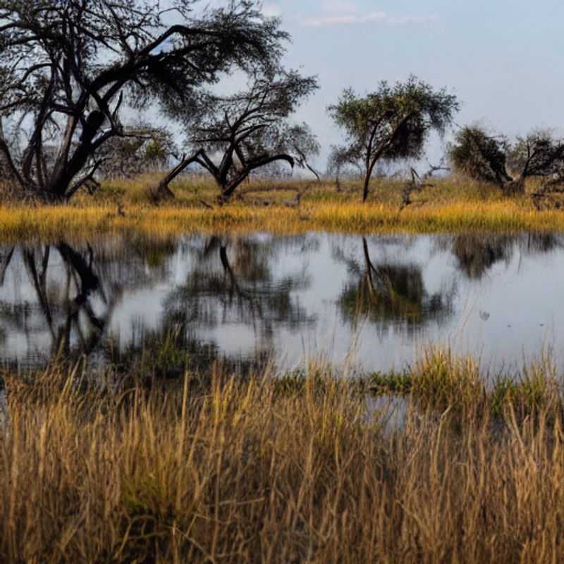 Segredos do Delta do Okavango: Desvendando Mistérios e Garantindo sua Segurança Médica!<h3>Okavango Delta: Aventura, Lendas e... Atendimento Médico de Emergência? (Descubra!)</h3><h3>Safári no Okavango: Curta a Emoção, Mas Não se Esqueça do Kit de Primeiros Socorros (e de um Bom Plano B!)</h3><h3>Explorando o Delta do Okavango: Entre Mitos e Realidades, a Importância da Assistência Médica</h3><h3>Dois Passos à Frente das Criaturas Lendárias: Sua Segurança Médica no Okavango Delta</h3><h3>A Busca pelo Tesouro Perdido de Mboko: Um Guia de Segurança Médica no Delta do Okavango</h3><h3>Trilhas Mágicas e Cuidados de Saúde: Um Roteiro Seguro para o Delta do Okavango</h3><h3>Okavango Delta: Onde a Natureza é Esplendorosa e a Saúde Precisa de Atenção</h3><h3>Superando os Desafios do Delta: Dicas Essenciais de Segurança e Acesso a Serviços Médicos</h3><h3>Aventuras no Okavango: Equilibrando Emoção, Exploração e Boas Práticas de Segurança Médica</h3>