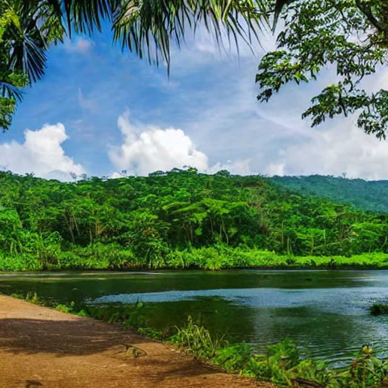 Loango in Summer&#58; Beat the Crowds&#44; Not the Heat! (A Gabonese Guide's Tale)<h3>Sun's Out&#44; Safari's On&#58; Is Loango National Park's Summer Sizzle Worth It?</h3><h3>Loango National Park in Summer&#58; Mythbusting the &#34;Off&#45;Season&#34;</h3><h3>Gabon's Summer Secret&#58; Why Loango National Park is Surprisingly Awesome in the Hot Months</h3><h3>Dodging the Tourist Deluge&#58; A Summer Safari Adventure in Loango</h3><h3>Loango's Summer Solstice&#58;  Sun&#44; Sand&#44; and Solving the Mysteries of Gabon's Wild Heart</h3><h3>A Gabonese Guide's Guide to a Safe &#38; Sun&#45;Kissed Summer in Loango National Park</h3><h3>Summer in Loango&#58; Fewer Tourists&#44; More Wildlife? Let's Investigate!</h3><h3>Beyond the Beaches&#58; Uncovering Loango's Hidden Gems During Summer</h3><h3>Exploring Loango's Legends&#58; A Summer Journey Through Myth and History</h3>