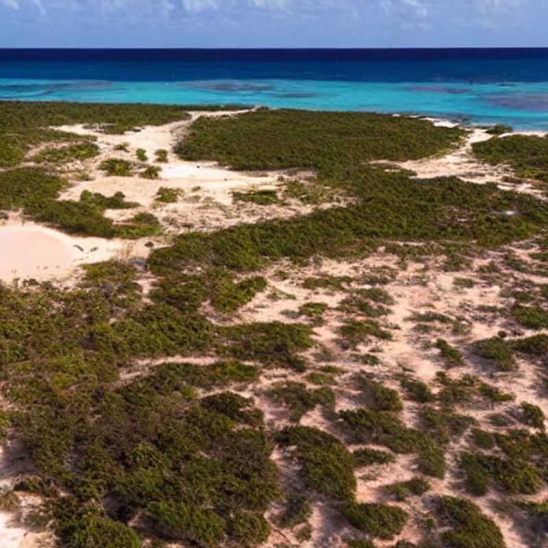 Descubre el Archipiélago de Bazaruto: Belleza y Seguridad en Mozambique<h3>Bazaruto: Un Paraíso Tropical con Consejos para un Viaje Seguro</h3><h3>Mozambique Mágico: Navegando entre la Seguridad y la Aventura en Bazaruto</h3><h3>Explorando Bazaruto: Mi Experiencia Personal y Consejos para Viajeros Conscientes</h3><h3>El Archipiélago de Bazaruto: Consejos de Seguridad ante Posibles Manifestaciones</h3><h3>Viajar a Bazaruto con Sabiduría: Gestionando el Riesgo y Disfrutando al Máximo</h3><h3>Bazaruto: Un Viaje Seguro a un Paraíso Africano (Información y Precauciones)</h3><h3>Seguridad y Serenidad en Bazaruto: Mi Guía Personal para un Viaje Inolvidable</h3><h3>Aventura Responsable en Mozambique: Consejos para Viajar Seguro al Archipiélago de Bazaruto</h3><h3>Descubriendo Bazaruto: Paz, Belleza y Precauciones para un Viaje Tranquilo</h3>