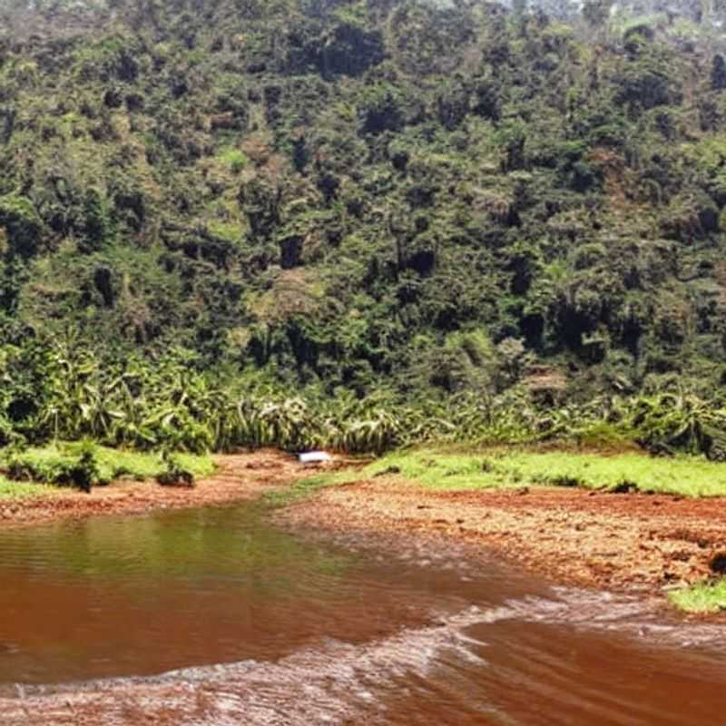Descubriendo las Maravillas del Monte Elgon: Superando Barreras Culturales y Lingüísticas para un Viaje Seguro<h3>Monte Elgon: Un Viaje Seguro a través de las Fronteras Culturales de Uganda y Kenia</h3><h3>El Monte Elgon: Consejos de Seguridad y Enriquecimiento Cultural en Uganda y Kenia</h3><h3>Aventuras en el Monte Elgon: Navegando las Barreras del Idioma y la Cultura con Seguridad</h3><h3>Mi Experiencia en el Monte Elgon: Superando Retos y Celebrando la Diversidad Cultural</h3><h3>El Monte Elgon: Un Paraíso Africano - Seguridad y Conexión Cultural</h3><h3>Seguridad y Cultura en el Monte Elgon: Un Viaje Transformador a través de Uganda y Kenia</h3><h3>Explorando el Monte Elgon: Un Manual Práctico para un Viaje Seguro y Culturalmente Enriquecedor</h3><h3>Consejos Esenciales para Viajar al Monte Elgon: Seguridad, Cultura y Conexión Humana</h3><h3>El Monte Elgon: Un Encuentro con la Naturaleza y la Cultura - Mi Guía para un Viaje Seguro</h3>