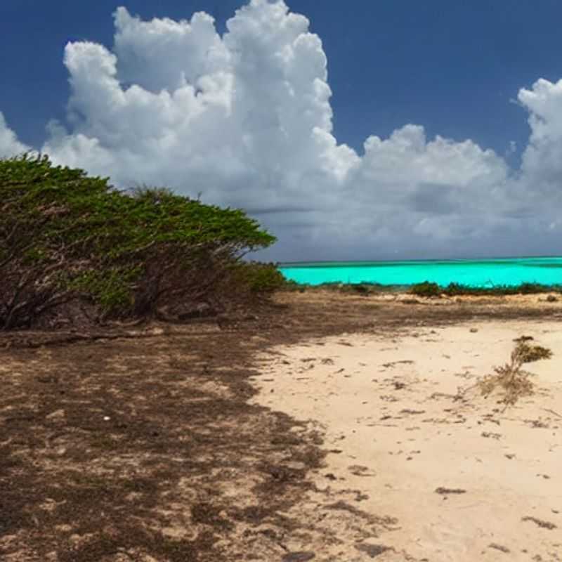 Segurança em Bazaruto&#58; Um Olhar Sobre a Estabilidade Política e Social da Ilha<h3>Bazaruto&#58; Paraíso Tropical &#45;  Mas e a Segurança? Um Guia Honesto para sua Viagem</h3><h3>Moçambique e Bazaruto&#58;  Aventura Segura? Desvendando a Realidade Política e Social</h3><h3>Sonhando com Bazaruto?  Priorizando a Segurança na sua Aventura Moçambicana</h3><h3>Ilha de Bazaruto&#58; Beleza Exótica e Prudência &#45; Um Guia para Viagens Tranquilas</h3><h3>Explorando Bazaruto com Segurança&#58;  Dicas de um Guia Local Experiente</h3><h3>Paz de Espirito em Bazaruto&#58;  Entendendo o Cenário Político para uma Viagem Incrível</h3><h3>Bazaruto&#58;  Aventura com Sabedoria &#45;  Segurança e Boas Práticas em Moçambique</h3>