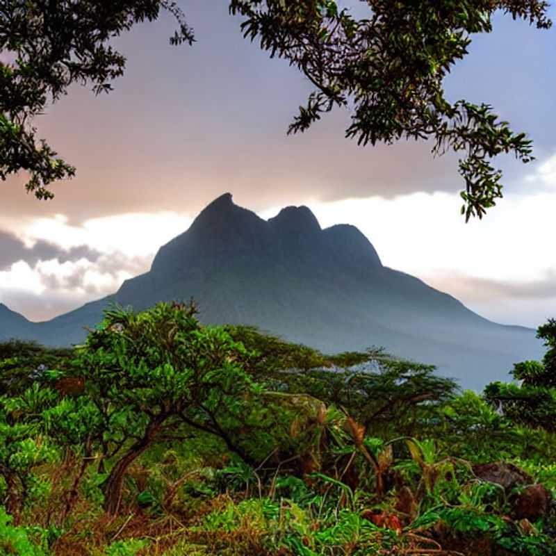 Seguridad en el Camino&#58; Consejos para un Viaje Seguro al Monte Mulanje&#44; Malawi<h3>Navegando con Sabiduría&#58; Transporte y Condiciones de las Carreteras en el Monte Mulanje</h3><h3>Mi Experiencia&#58; Transporte Seguro y Confort en mi Viaje al Imponente Monte Mulanje</h3><h3>Descubriendo Malawi&#58; Un Viaje Seguro al Monte Mulanje con Consejos Prácticos</h3><h3>El encanto de Malawi&#58;  Consejos para un viaje seguro y placentero al Monte Mulanje</h3><h3>Aventura con tranquilidad&#58;  Transporte y seguridad en tu viaje al Monte Mulanje</h3><h3>Malawi me cautivó&#58;  Reflexiones sobre seguridad vial y transporte en mi viaje al Monte Mulanje</h3><h3>Más allá de la belleza&#58; Priorizando la seguridad en tu viaje al Monte Mulanje&#44; Malawi</h3><h3>Consejos de una experta&#58;  Seguridad en el camino hacia el majestuoso Monte Mulanje</h3><h3>Un viaje inolvidable&#58;  Seguridad y transporte responsable al explorar el Monte Mulanje</h3>