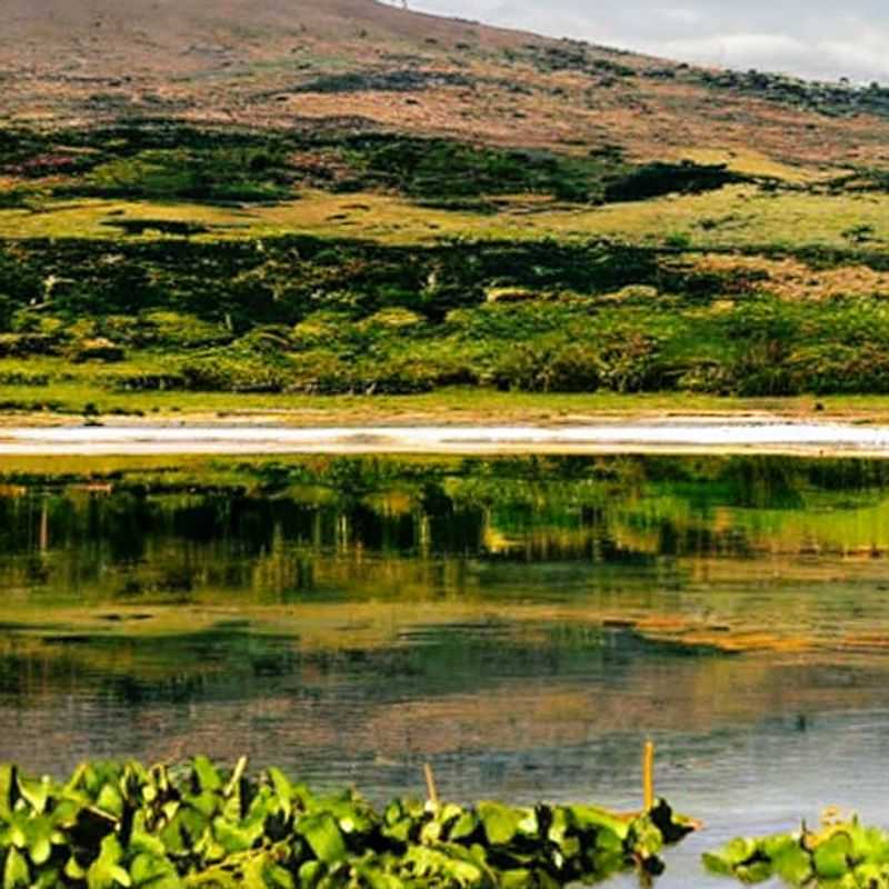 Praias e Parques de Nakuru&#58; Um Refúgio de Verão? Desvendando os Mistérios do Lago!<h3>Nakuru no Verão&#58; Sol&#44; Prazer e...Hippos? Um Guia Turístico com pitada de Aventura!</h3><h3>Sol&#44; Areia e...Flamingo Rosa?  Descubra se o Lago Nakuru é o Seu Paraíso de Verão (Dicas de Segurança Incluídas!)</h3><h3>De Safari a Sol&#58;  Aventura e Relaxamento no Lago Nakuru – Vale a Pena no Verão?</h3><h3>Mistérios&#44; Lendas e...Biquínis?  A Verdadeira História do Lago Nakuru e o Seu Verão Ideal!</h3><h3>O Lago Nakuru no Verão&#58;  Um Oasis de Paz ou um Mar de Aventuras? (Com Dicas de Sobrevivência!)</h3><h3>Escapada de Verão em Nakuru&#58;  Entre a Ciência&#44; a Lenda e as Praias de Areia Branca (Segurança em Primeiro Lugar!)</h3><h3>Nakuru&#58; Um Verão para se Lembrar! (Desvendando os Segredos do Lago e Mantendo&#45;se Seguro)</h3>
