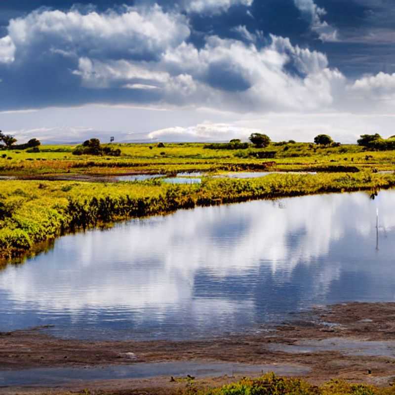 Exploring Lake Nakuru Safely: A Guide to Natural Disaster Risks & Preparedness<h3>Lake Nakuru Adventure: Staying Safe Amidst Nature's Power</h3><h3>Hakuna Matata in Nakuru: Understanding & Avoiding Travel Risks</h3><h3>Your Dream Lake Nakuru Trip: Prioritizing Safety & Enjoyment</h3><h3>Navigating Nature's Wonders: A Safe Journey to Lake Nakuru</h3><h3>Peace of Mind in Paradise: Disaster Preparedness for Your Lake Nakuru Visit</h3><h3>Lake Nakuru's Beauty & Safety: Tips for a Worry-Free Adventure</h3><h3>Wildlife & Wellbeing: Smart Travel Choices in Lake Nakuru</h3><h3>Unforgettable Lake Nakuru: Safe Travels & Remarkable Experiences</h3><h3>Embracing the Adventure: Safe & Responsible Travel to Lake Nakuru, Kenya</h3>