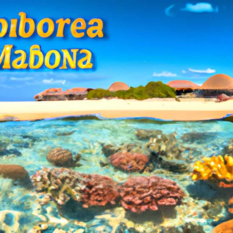 Welcome to Bazaruto National Park: A Birdwatching Paradise in the Heart of Mozambique