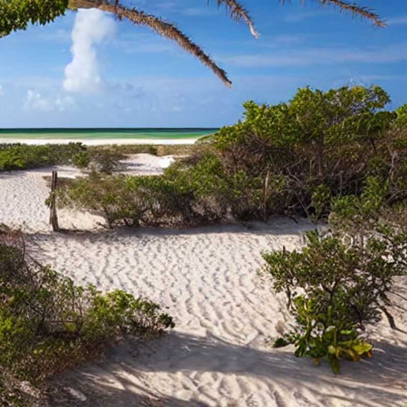 Bazaruto Island&#44; Mozambique&#58; A Guide to Medical Facilities &#38; Safe Travel<h3>Your Health &#38; Safety First&#58; Navigating Medical Services on Bazaruto Island</h3><h3>Emergency Preparedness in Paradise&#58; A Practical Guide to Bazaruto Island</h3><h3>Beyond the Beaches&#58; Understanding Healthcare Access on Bazaruto Island</h3><h3>Smart Travel Tips&#58; Staying Safe &#38; Healthy on Your Bazaruto Adventure</h3><h3>Cultural Sensitivity &#38; Medical Care&#58; A Traveler's Guide to Bazaruto</h3><h3>Finding Reliable Medical Assistance&#58; Practical Advice for Bazaruto Island</h3><h3>Avoiding Tourist Traps &#38; Ensuring Safe Healthcare in Bazaruto</h3><h3>Budget&#45;Friendly Healthcare Options&#58; Your Guide to Bazaruto Island</h3><h3>Respecting Local Customs &#38; Maximizing Your Healthcare Safety in Bazaruto</h3>