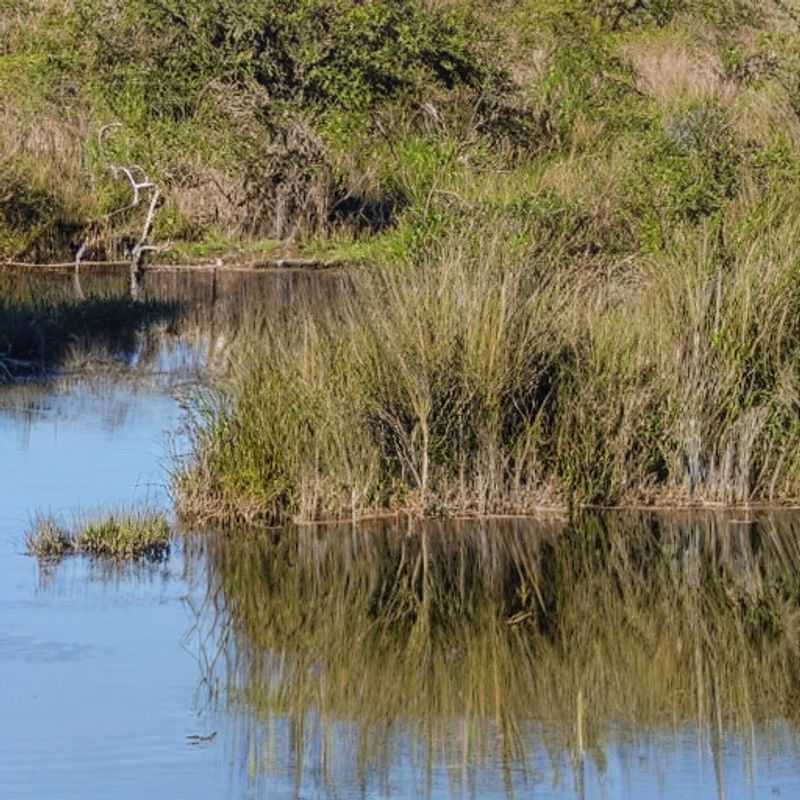 Okavango Delta in Summer&#58; Beat the Crowds&#44; Embrace the Heat!<h3>Okavango's Summer Serenade&#58; Fewer Tourists&#44; More Untamed Beauty</h3><h3>Sun&#45;Kissed Secrets&#58; A Summer Safari in Botswana's Okavango Delta</h3><h3>Escape the Rush&#58; Your Okavango Delta Summer Adventure Awaits</h3><h3>Summer in the Delta&#58;  A Quieter Journey Through Botswana's Jewel</h3><h3>Botswana's Okavango Delta in Summer&#58;  Is it the Right Time for YOU?</h3><h3>Beyond the Tourist Trail&#58; Discovering the Okavango Delta in Summer</h3><h3>Okavango Delta Summer&#58;  Hidden Gems and Local Encounters</h3><h3>A Unique Okavango Experience&#58; Summertime in Botswana's Wild Heart</h3><h3>The Okavango Delta's Summer Surprise&#58; Fewer Crowds&#44; Same Magic</h3>
