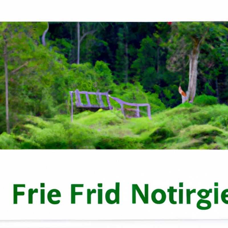 Chimpanzee Trekking in Nyungwe Forest National Park, Rwanda: An Unforgettable Winter Adventure