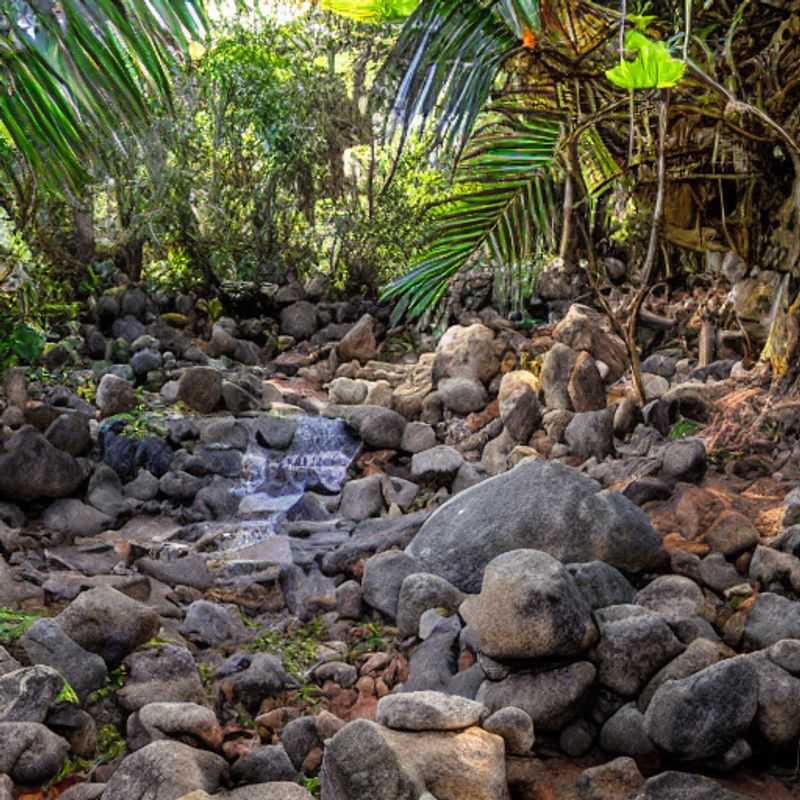 Mount Mulanje Magic: A Guide to Safe & Serene Adventures in Malawi<h3>Exploring Malawi's Mulanje Massif: Safety First, Wonders Second</h3><h3>Mulanje Majesty: Prioritizing Safety on Your Malawian Mountain Escape</h3><h3>Trekking Mulanje: A Detailed Guide to Safe and Responsible Travel</h3><h3>Conquering Mulanje: Adventure & Awareness – Staying Safe in Malawi's Highlands</h3><h3>Unlocking Mulanje's Secrets: Safety Tips for an Unforgettable Journey</h3><h3>My Mulanje Memories: Personal Reflections on Safety and the Breathtaking Scenery</h3><h3>The Heart of Mulanje: Balancing Adventure with Responsible Travel Practices</h3><h3>Malawi's Mulanje: A Traveler's Guide to Safety and Remarkable Experiences</h3><h3>Beyond the Trails: Cultural Encounters and Safety Considerations in Mulanje</h3>