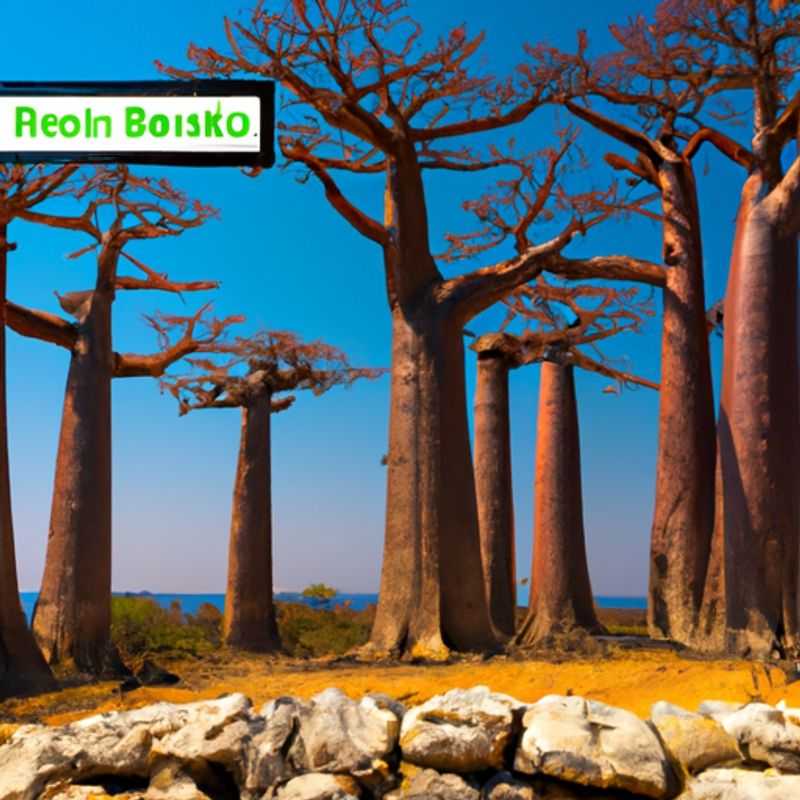 Avenue of the Baobabs&#58; Tsingy de Bemaraha Reserve&#44; Kirindy Forest&#44; Morondava Beach&#44; Sunset at Avenue of the Baobabs&#44; and Local Village Visits
