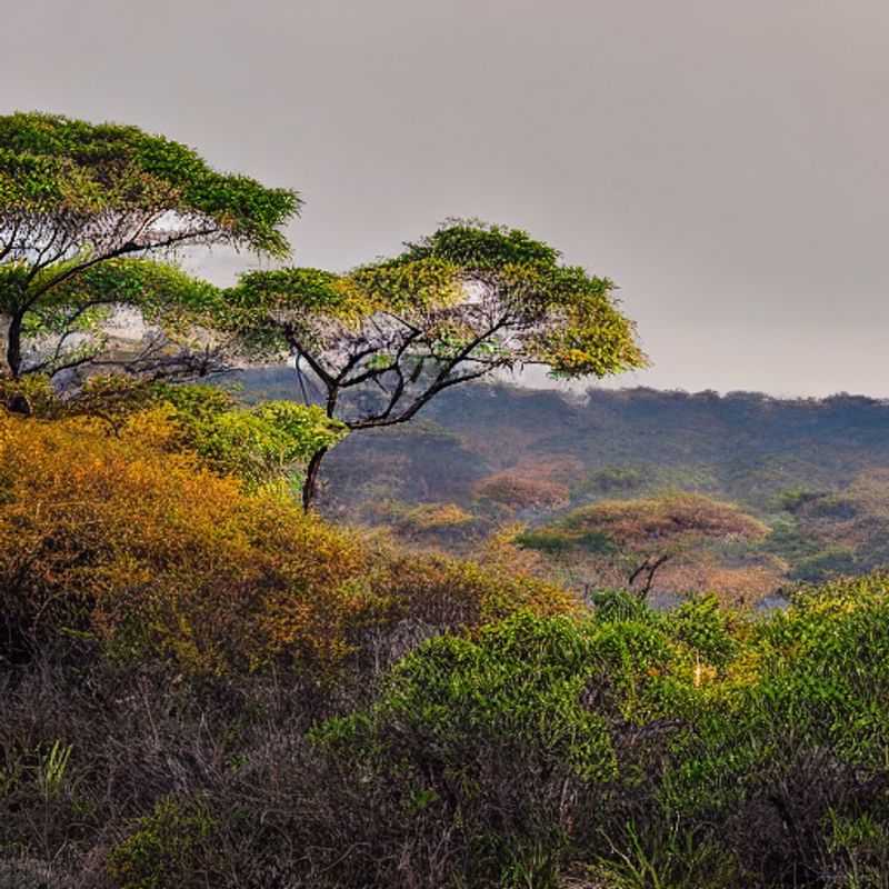 Le Parc National d'Isalo à Madagascar, baigné de soleil estival : paysages spectaculaires de canyons, piscines naturelles et formations rocheuses.
