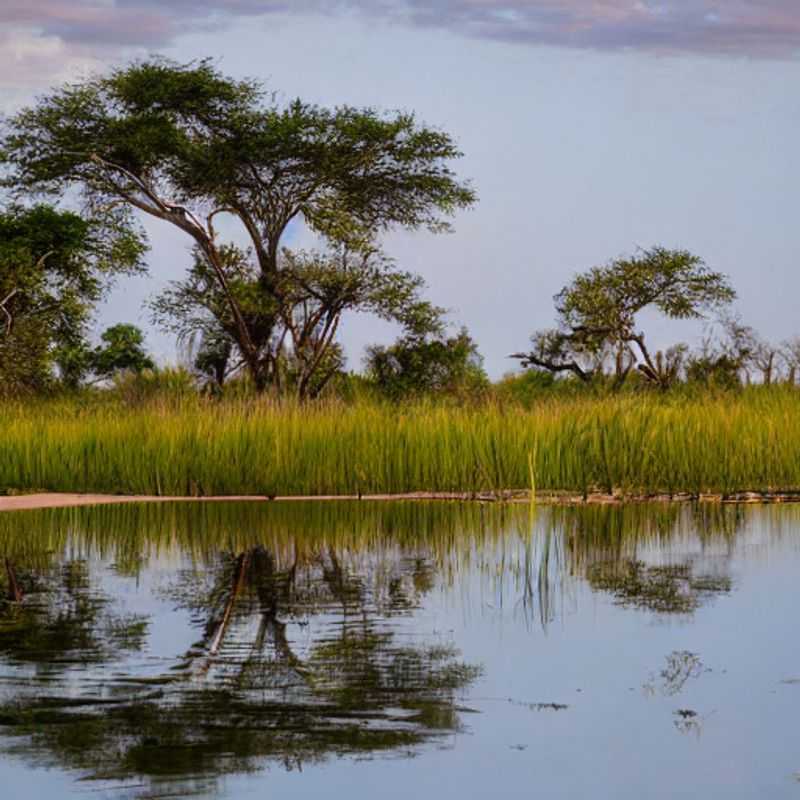 Segredos do Delta do Okavango: Desvendando os Mistérios e Evitando as Armadilhas Naturais!<h3>Okavango Delta: Beleza Selvagem e Perigos Escondidos - Um Guia para Viagens Seguras</h3><h3>Sobrevivendo ao Paraíso: Um Roteiro para Aventuras Incríveis e Imprevisíveis no Delta do Okavango</h3><h3>Riscos Naturais no Delta do Okavango: Mitos, Lendas e Boas Práticas de Segurança</h3><h3>Delta do Okavango: Preparação para Desastres Naturais - Conselhos de um Guia com Experiência (e um Pouco de Humor!)</h3><h3>Aventuras no Delta do Okavango: Explorando a Natureza com Segurança e Inteligência</h3><h3>Okavango Delta: Descobrindo os Segredos da Natureza... Sem Cair em Armadilhas!</h3><h3>Planejando sua Viagem ao Delta do Okavango: Segurança em Primeiro Lugar!</h3><h3>De Crocodile Dundee a Indiana Jones: Uma Aventura Segura no Delta do Okavango</h3><h3>O Guia Definitivo para Viagens Seguras ao Delta do Okavango: Prepare-se para o Imprevisto!</h3>