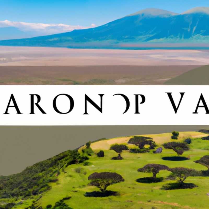A solitary traveler gazes out over the vast expanse of Ngorongoro Crater, Tanzania, during the magical transition between summer and fall, when the landscape is ablaze with vibrant hues.