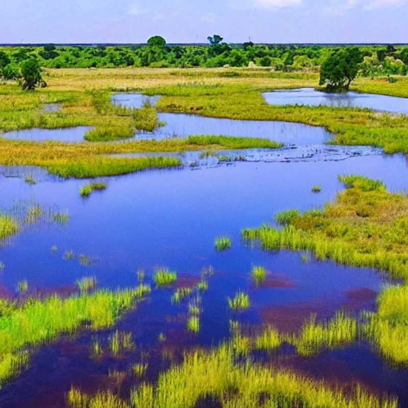 Okavango Delta in Summer&#58; Sunsets&#44; Sips&#44; and Safari Suppers – An Al Fresco Adventure!<h3>Botswana's Okavango Delta&#58; Is a Summer Holiday a &#34;Wild&#34; Idea? (Spoiler&#58; Yes!)</h3><h3>Under the African Stars&#58; Rooftop Bars and Outdoor Dining in the Okavango Delta</h3><h3>Feasting on Adventure&#58; Exploring the Okavango Delta's Al Fresco Delights</h3><h3>Okavango Delta Summer Escape&#58;  More Than Just a Holiday&#44; It's a Culinary Safari!</h3><h3>Beyond the Safari&#58; Discovering the Okavango Delta's Unique Outdoor Dining Experiences</h3><h3>Sun&#45;Kissed Safari &#38; Starlit Suppers&#58; Your Okavango Delta Summer Itinerary</h3>