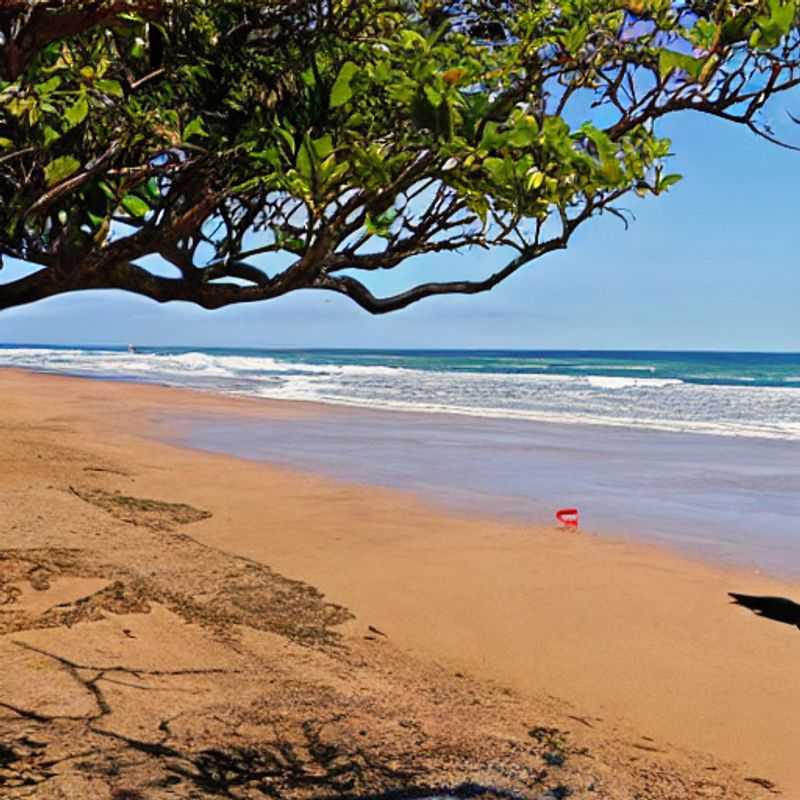Segurança em Cabo Vidal&#58; Um Guia para Aventuras Tranquilas na Africa do Sul<h3>Cabo Vidal&#58; Prontidão para Emergências &#45; Sua Segurança em Primeiro Lugar!</h3><h3>Explorando Cabo Vidal com Segurança&#58; Serviços de Emergência e Tempos de Resposta</h3><h3>Aventura Segura em Cabo Vidal&#58; Tudo sobre Assistência Médica e Emergências</h3><h3>Viagem Segura a Cabo Vidal&#58; Um Olhar Atento aos Serviços de Emergência</h3><h3>Descubra Cabo Vidal com Tranquilidade&#58; Guia Completo de Segurança e Emergências</h3><h3>Cabo Vidal&#58;  Sua Aventura na Africa do Sul&#44; com Segurança Garantida!</h3><h3>Planejando sua Viagem a Cabo Vidal&#58; Segurança e Emergências &#45; Dicas Essenciais</h3><h3>Sua Aventura em Cabo Vidal&#58;  Preparado para Imprevistos?</h3><h3>Cabo Vidal&#58;  Paz de Espirito em Sua Jornada Africana</h3>