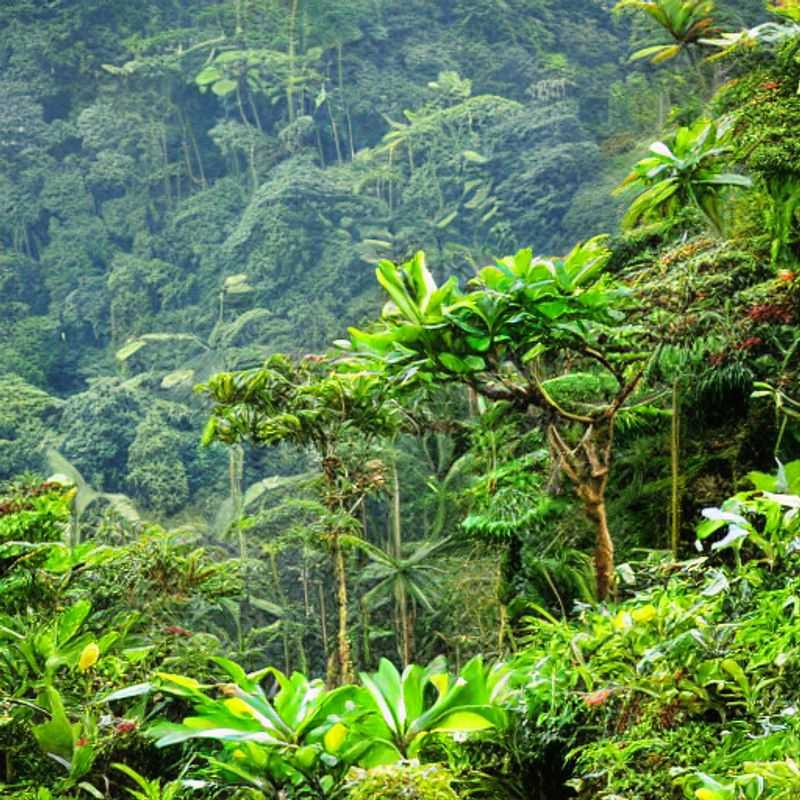 Exploring Nyungwe Forest: Your Safety & Well-being<h3>Nyungwe National Park: A Guide to Medical Facilities & Emergency Services</h3><h3>Safe Travels in Nyungwe: What You Need to Know About Healthcare</h3><h3>Your Health & Happiness in Nyungwe: A Practical Guide to Medical Preparedness</h3><h3>Rwanda's Nyungwe Forest: Enjoying the Adventure Safely</h3><h3>Peace of Mind in Paradise: Medical Considerations for Your Nyungwe Trip</h3><h3>Nyungwe Forest Adventure: Prioritizing Your Health and Safety</h3><h3>Discovering Nyungwe: Smart Steps for a Healthy and Safe Journey</h3><h3>Travel Smart, Travel Safe: Medical Tips for Nyungwe National Park</h3><h3>Nyungwe Forest: Adventure Awaits - But Let's Plan for Safety First!</h3>