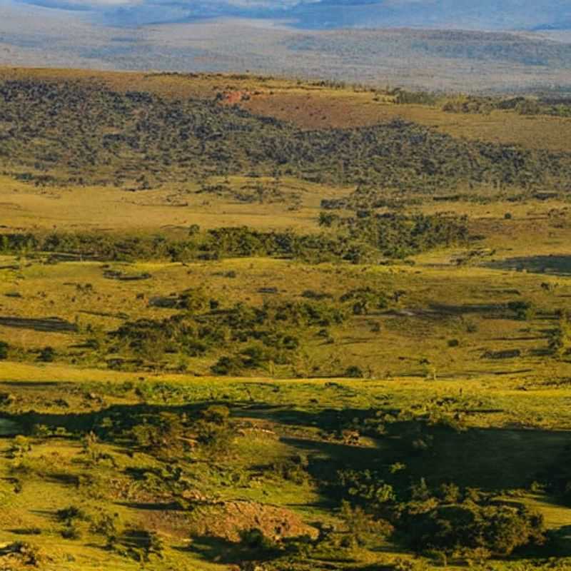 Unveiling Nyika's Secrets: A Malawi Plateau Adventure (and Why It's Unlike Anywhere Else!)<h3>Nyika Plateau: Malawi's Wild Heart – A Journey Beyond the Tourist Trail</h3><h3>Beyond the Zebra Stripes: Discovering the Soul of Nyika Plateau, Malawi</h3><h3>Lost in the Highlands: My Unexpected Encounters on Malawi's Mystical Nyika Plateau</h3><h3>Chasing Sunsets and Stories: A Unique Travel Experience on the Nyika Plateau</h3><h3>Malawi's Hidden Gem: Why Nyika Plateau Should Be on Your African Adventure List</h3><h3>From Rolling Hills to Starry Nights: A Safe & Soulful Nyika Plateau Exploration</h3><h3>Nyika Plateau: More Than Just a View – A Cultural Immersion in Malawi's Highlands</h3><h3>The Nyika Plateau Challenge: An Ambitious Yet Safe Journey to Malawi's Untamed Beauty</h3><h3>Whispers of the Wind: Unforgettable Moments on Malawi's Breathtaking Nyika Plateau</h3>