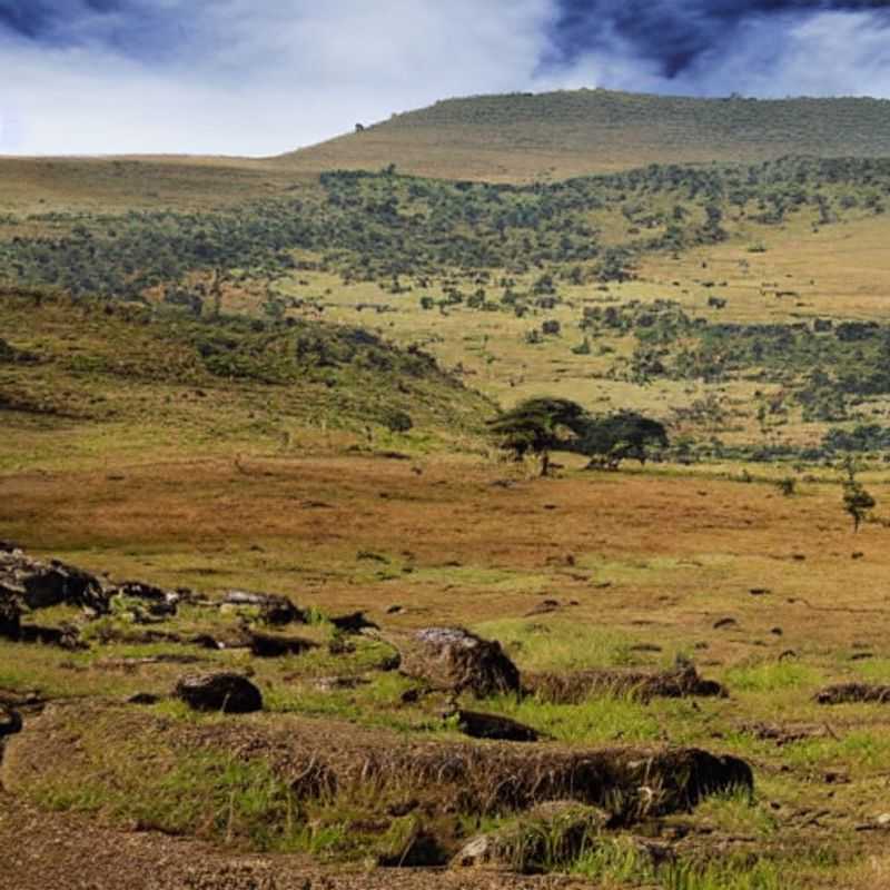 Whispers of the Nyika: Unplugging from the World's Noise on Malawi's High Plateau<h3>Nyika Plateau's Silent Symphony: Discovering Peace and Quiet in Malawi</h3><h3>Beyond the Bustle: Finding Tranquility on Malawi's Untamed Nyika Plateau</h3><h3>The Nyika Plateau's Secret: A Surprisingly Peaceful Escape in Malawi</h3><h3>Malawi's Hidden Jewel: How the Nyika Plateau Offers a Unique Kind of Silence</h3>