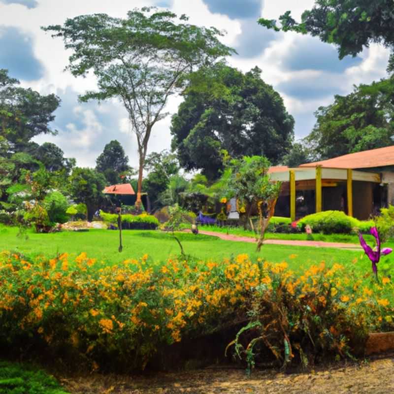 Découvrez les Merveilles Aquatiques du Lac Victoria à Entebbe, Ouganda