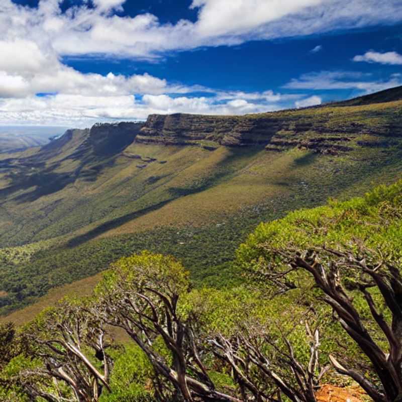 Exploring Royal Natal National Park: A Safe & Joyful Adventure<h3>Staying Healthy & Happy in Royal Natal National Park: Your Essential Guide</h3><h3>Royal Natal National Park: Understanding Potential Health Risks & How to Avoid Them</h3><h3>Your Safe Journey to Royal Natal National Park: Practical Health Tips from an Expert</h3><h3>Adventure Awaits! Protecting Your Health While Exploring Royal Natal National Park</h3><h3>Discover Royal Natal National Park: Peace of Mind & Exceptional Experiences</h3><h3>Royal Natal National Park: Travel Smart, Stay Safe, and Embrace the Magic</h3><h3>Health & Safety First: A Guide to a Worry-Free Trip to Royal Natal National Park</h3><h3>Unveiling Royal Natal National Park: Prioritizing Your Well-being on Your South African Journey</h3><h3>Royal Natal National Park: Exploring with Confidence and a Healthy Heart</h3>