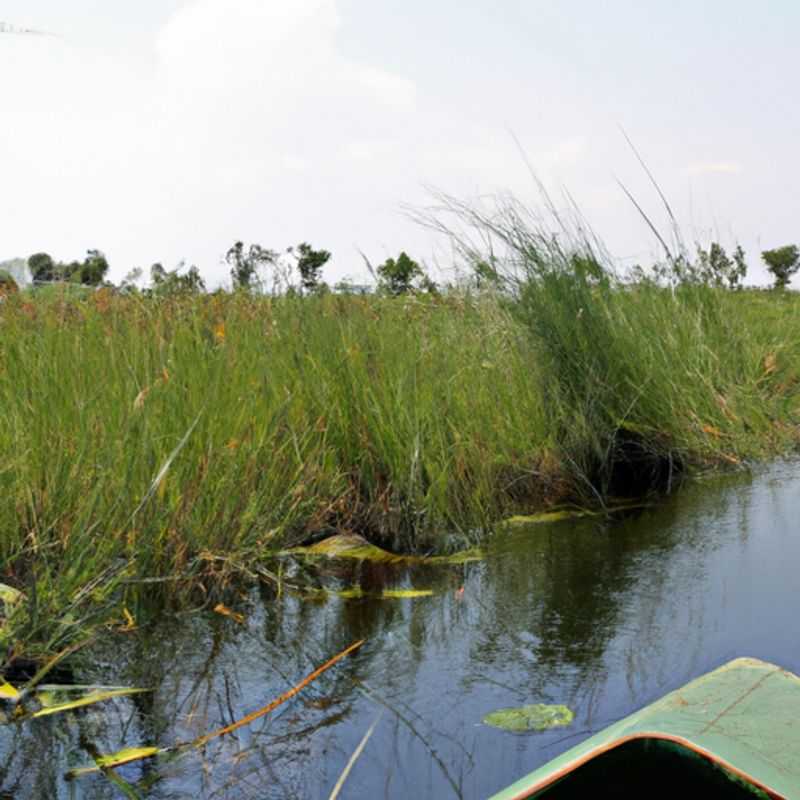 Okavango Delta Wildlife Safari: A Winter Wonderland of Wildlife Encounters