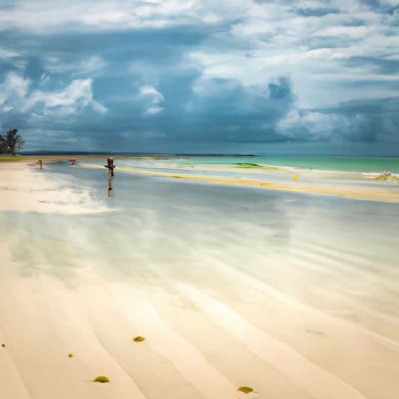Gliding Through Paradise: A Unforgettable Colobus Conservation Tour in Diani Beach