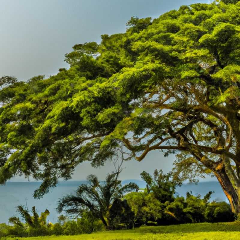 Visit the Uganda Wildlife Conservation Education Centre in Entebbe Botanical Garden, Uganda