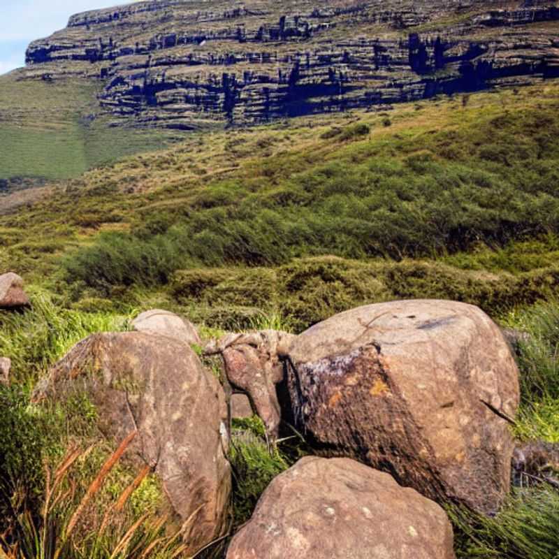 Here are a few options for alt text, each with a slightly different emphasis: