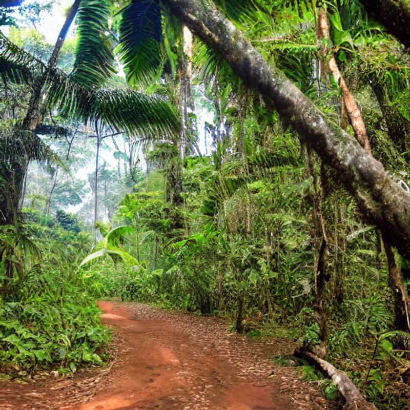 Loango's Call&#58;  A Guide to Safe Adventures &#38; Smart Travel Alerts<h3>Navigating Loango National Park&#58; Staying Safe &#38; Savoring the Journey</h3><h3>Whispers from the Wild&#58;  Travel Advisories &#38; Safety in Gabon's Loango</h3><h3>Exploring Loango&#58;  Your Expert Guide to Responsible &#38; Rewarding Travel</h3><h3>Loango National Park&#58; Adventure Awaits&#44; But Safety First!  A Practical Guide</h3><h3>Beyond the Trails&#58;  Understanding Travel Alerts &#38; Maximizing Your Loango Experience</h3><h3>The Heart of Gabon&#58;  A Safe &#38; Informed Trip to Loango National Park</h3><h3>Unveiling Loango&#58;  Safety Precautions &#38; the Stories They Uncover</h3><h3>Loango's Secrets&#58;  Staying Safe While Discovering Gabon's Hidden Gems</h3><h3>From Safari to Soul&#58;  A Safe and Insightful Journey Through Loango National Park</h3>