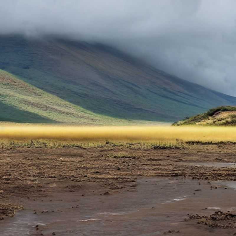 Ngorongoro Crater Safari: Your Safety & Peace of Mind<h3>Tanzania's Ngorongoro Crater: A Safe Haven for Adventurers</h3><h3>Exploring Ngorongoro Crater: Political Stability and Smart Travel Tips</h3><h3>Is Ngorongoro Crater Safe? A Local's Perspective on Travel Safety</h3><h3>Your Worry-Free Safari: Understanding Political Stability in Tanzania's Ngorongoro</h3><h3>Ngorongoro Crater Travel Guide: Prioritizing Your Safety and Enjoyment</h3><h3>Safe Travels in Tanzania: Ngorongoro Crater and Beyond</h3><h3>Discover the Beauty of Ngorongoro Crater: Travel with Confidence</h3><h3>Unveiling Ngorongoro: A Journey of Safety, Wonder, and Cultural Understanding</h3><h3>Ngorongoro Crater Adventure: Travel Smart, Travel Safe, Travel Happy</h3>