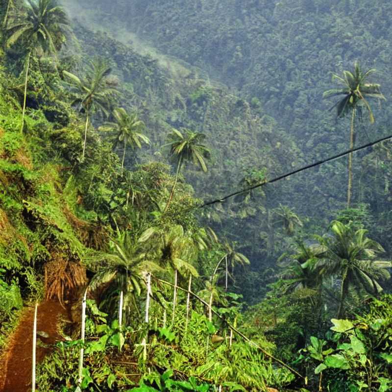 Sécurité en voyage : Bwindi Impénétrable, Ouganda - Prévenir les risques naturels<h3>Bwindi Impénétrable : Votre sécurité avant tout – Conseils pour un voyage serein</h3><h3>Explorer Bwindi en toute sécurité : Risques naturels et bonnes pratiques</h3><h3>Bwindi Impénétrable : Nature magnifique, voyage responsable et sécurité</h3><h3>Voyage en toute sérénité à Bwindi : Comprendre les risques et les éviter</h3><h3>Découvrir Bwindi Impénétrable : Un voyage sécurisé et inoubliable</h3><h3>Randonnée à Bwindi : Conseils de sécurité pour apprécier la nature en toute tranquillité</h3><h3>Votre aventure à Bwindi : Préparation et sécurité pour un voyage réussi en Ouganda</h3><h3>Bwindi Impénétrable : Voyager intelligemment et en toute sécurité</h3><h3>Séjourner à Bwindi : Conseils pratiques pour un voyage sans souci</h3>