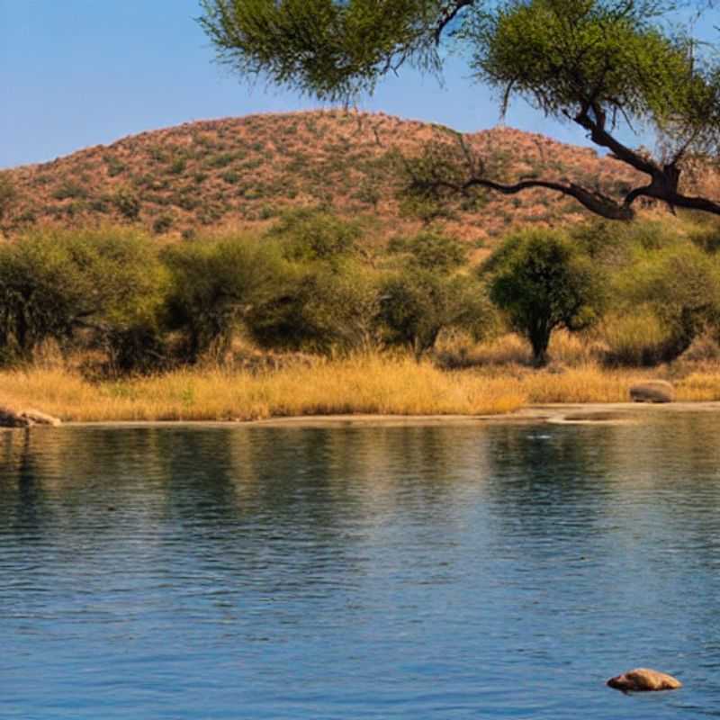 Is Ruaha National Park&#44; Tanzania Perfect for Your Summer Holiday? Longer Days&#44; More Adventures!<h3>Ruaha in the Summer Sun&#58;  Longer Days&#44; Bigger Discoveries!</h3><h3>Tanzania's Ruaha National Park&#58; A Summer Escape You Won't Forget</h3><h3>Summer in Ruaha&#58;  Exploring Tanzania's Hidden Gem with Longer Days of Sunshine</h3><h3>Beat the Crowds&#58; Why Ruaha National Park is a Summer Holiday Winner</h3><h3>Sun&#45;Kissed Safaris&#58;  Your Guide to a Safe &#38; Joyful Summer in Ruaha</h3><h3>Discover Ruaha's Magic&#58;  A Summer Safari Adventure in Tanzania</h3><h3>Embrace the Longer Days&#58;  Your Unforgettable Summer Safari in Ruaha National Park</h3><h3>Tanzania's Ruaha&#58;  A Summer Holiday Adventure Full of Wonder and Wildlife</h3><h3>Longer Days&#44; More Wildlife&#58; Your Summer Safari Awaits in Ruaha National Park</h3>