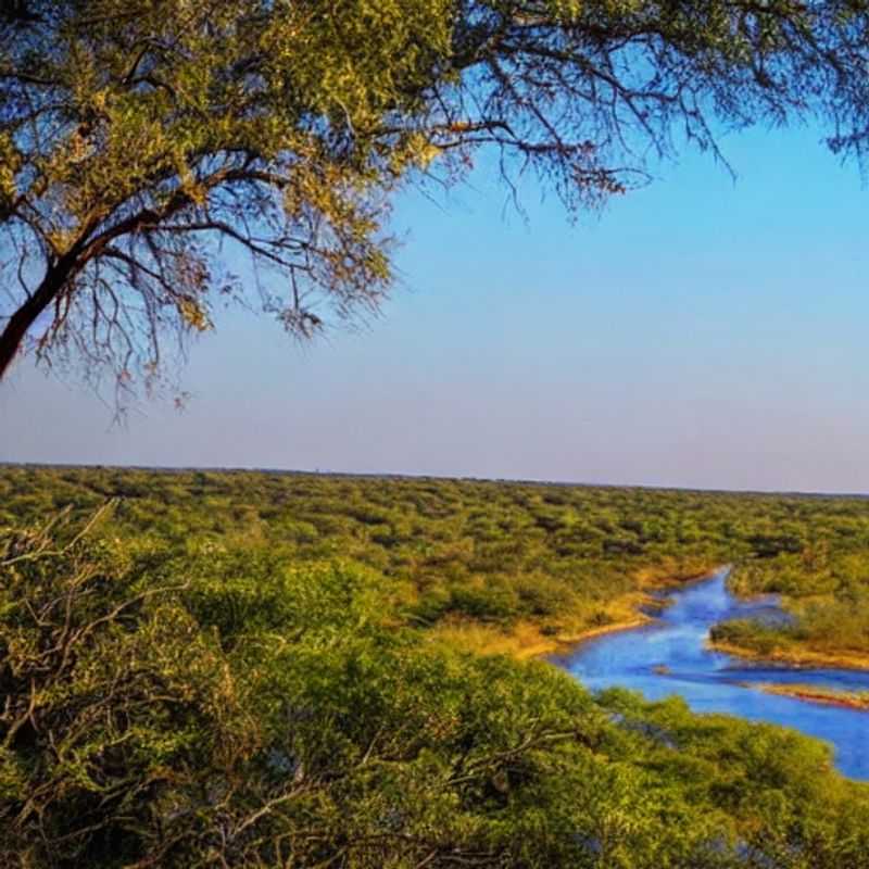 Here are a few options for alt text, each with a slightly different emphasis: