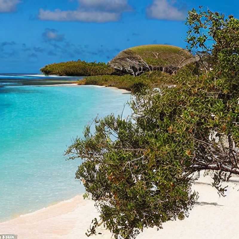 Sunset Sips and Seaside Serenade: Is Bazaruto Island Mozambique's Summer Romance Hotspot?<h3>Bazaruto's Beaches & Bites: A Romantic Rendezvous Under the African Sun</h3><h3>Island Time & Table Talk: Finding Love (and Lobster!) on Bazaruto Island</h3><h3>More Than Meets the Eye (and the Menu!): Exploring Bazaruto's Romantic Outdoor Dining Scene</h3><h3>Under the Mozambique Moon: Outdoor Dining & Summer Escapades on Bazaruto Island</h3><h3>From Dhow to Delicious: A Culinary and Romantic Journey to Bazaruto Island</h3>