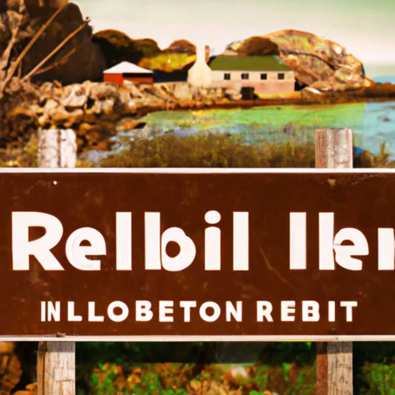 Guided Robben Island Tour: An Unforgettable Journey to South African History