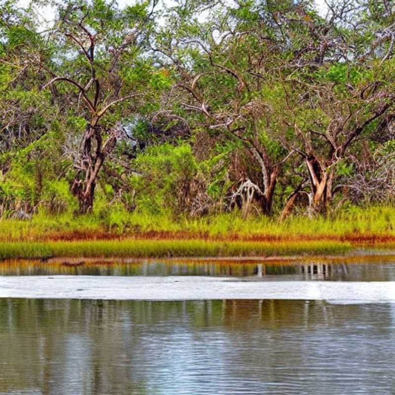 Avisos de viagem e advertências governamentais: Okavango Delta - Segurança em primeiro lugar (e com uma pitada de mistério)!<h3>Okavango Delta: Desvendando os segredos do delta enquanto você se mantém seguro!</h3><h3>Botswana: Conselhos de segurança para uma aventura épica no Okavango Delta (sem crocodilos famintos!)</h3><h3>Aventura no Okavango Delta: Dicas de segurança e como evitar os perigos (e as lendas assustadoras!)</h3><h3>Okavango Delta: Governo avisa, eu explico: segurança e diversão garantida!</h3><h3>Viajando para o Okavango Delta: Deixe as lendas para as histórias à beira da fogueira... a segurança é prioridade!</h3><h3>Segurança no Okavango Delta: Descubra os melhores conselhos e evite os perrengues (e os espíritos travessos!)</h3><h3>Okavango Delta: Alerta de viagem – Sua aventura segura começa aqui!</h3><h3>Explorando o Okavango Delta com sabedoria: Dicas de segurança para uma viagem inesquecível!</h3><h3>Mistérios, lendas e segurança no Okavango Delta: Um guia para uma viagem épica e sem sustos!</h3>