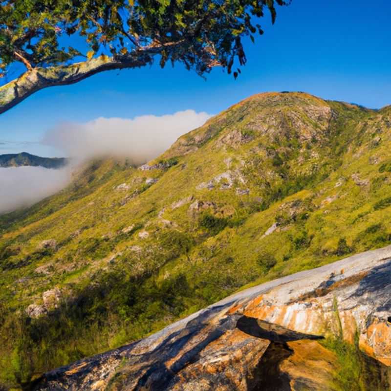Four intrepid travelers stand amidst the towering grandeur of Mount Mulanje, Malawi, bundled against the winter chill, their eyes fixed on the summit, ready to embark on a three-day adventure through this breathtaking African wilderness.