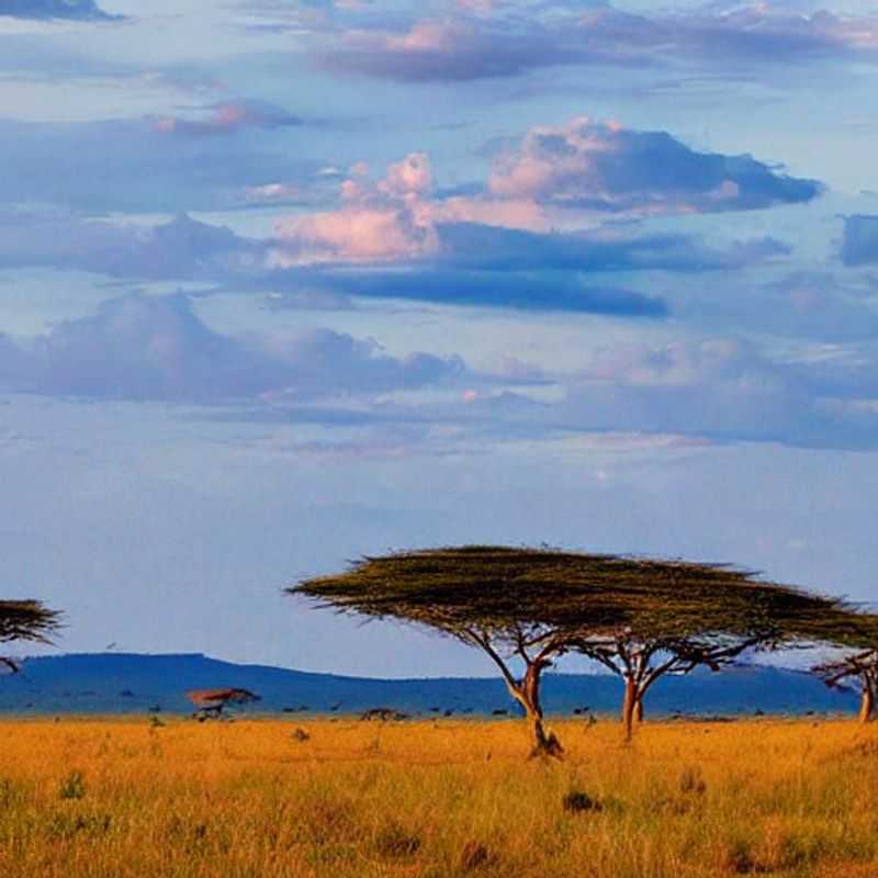 Serengeti Summer Sizzle&#58; Sun&#44; Safari&#44; and Staying Safe! (Is it REALLY a good idea?)<h3>Chasing Zebras and Sunsets&#58; A Serengeti Summer Adventure (Myth vs. Reality)</h3><h3>Lions&#44; Heat&#44; and Holiday Hiccups&#58;  Decoding the Serengeti Summer Mystery</h3><h3>Serengeti Safari Showdown&#58; Summer vs. Other Seasons – Which Reigns Supreme?</h3><h3>Beat the Heat (and the Hyenas!)&#58; A Serengeti Summer Survival Guide</h3><h3>From Maasai Legends to Mosquitoes&#58; A Summer Safari's Unexpected Challenges (and Triumphs!)</h3><h3>Sunstroke or Serengeti Bliss?  Weighing the Pros &#38; Cons of a Summer Safari</h3><h3>Ancient Secrets and Scorching Sun&#58; Uncovering Serengeti History in the Summer Heat</h3><h3>The Serengeti's Summer Solstice&#58; A Journey Through Myth&#44; History&#44; and Mosquito Repellent</h3><h3>Mediterranean Dreams &#38; Serengeti Schemes&#58; Comparing Climates for the Perfect Holiday</h3>