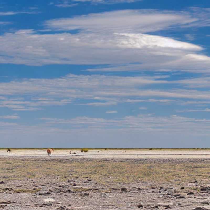 ¡Safari Seguro! Descifrando las Rutas y la Seguridad en el Parque Nacional Etosha&#44; Namibia<h3>Etosha&#58; ¿Cómo Llegar Sin Perderse (Ni el Sentido del Humor)? Guía de Transporte y Seguridad</h3><h3>Leyendas&#44; Mapas y 4x4&#58; Explorando la Infraestructura de Etosha con Seguridad</h3><h3>De la Mitología a la Carretera&#58; Transporte Seguro en el Corazón del Etosha</h3><h3>¡Prepárate para la Aventura! Consejos de Seguridad para Viajeros en el Parque Nacional Etosha</h3><h3>Etosha&#58;  Más Allá de los Animales&#44; la Seguridad Vial. Un Viaje a Través de la Historia y las Normas de Tránsito</h3><h3>Descubriendo Etosha&#58;  Seguridad&#44; Transporte y la Magia de Namibia</h3><h3>El Misterio de los Caminos de Etosha&#58;  Una Guía Turística para Viajes Seguros y Aventureros</h3>
